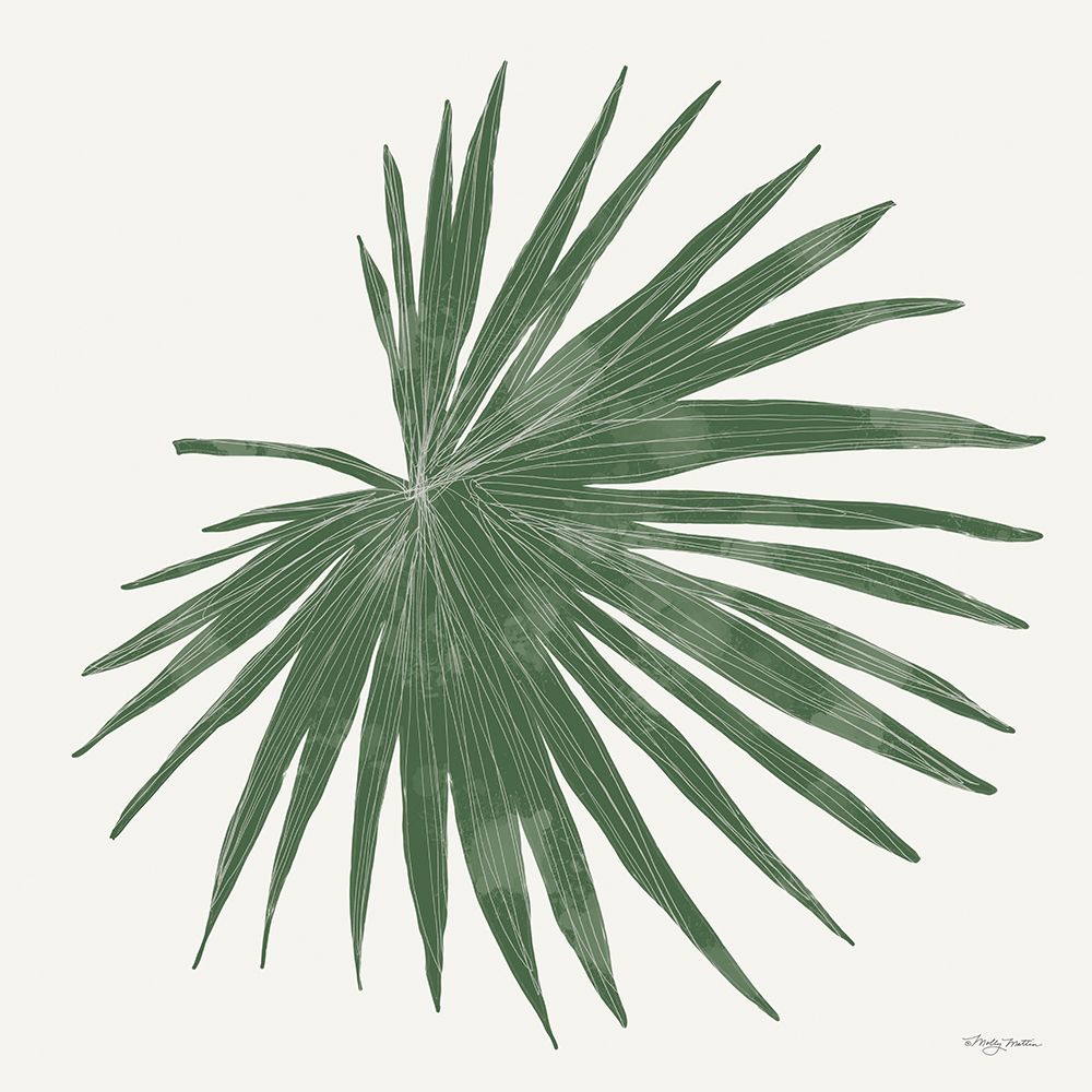 Tropical Fan Palm art print by Molly Mattin for $57.95 CAD