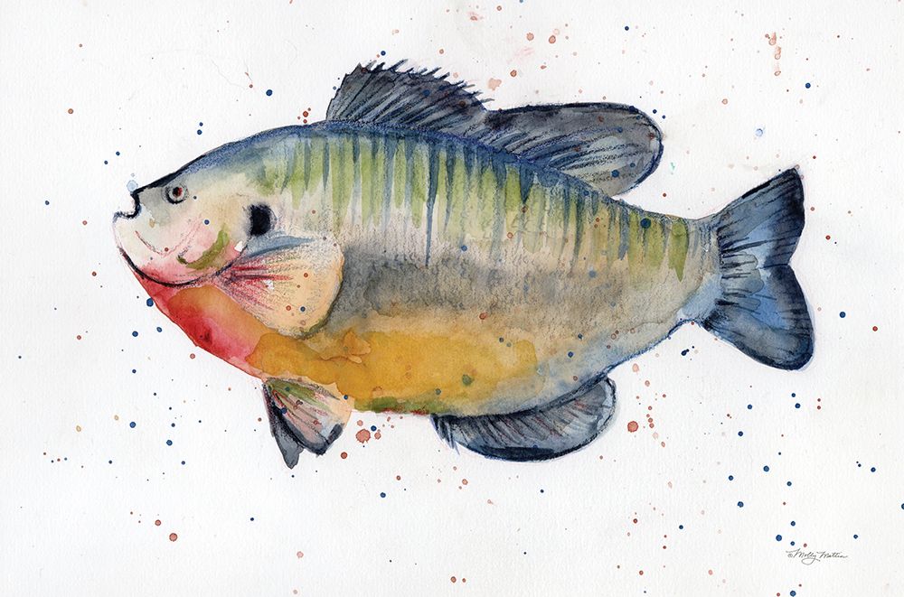 Freshwater Sunfish art print by Molly Mattin for $57.95 CAD