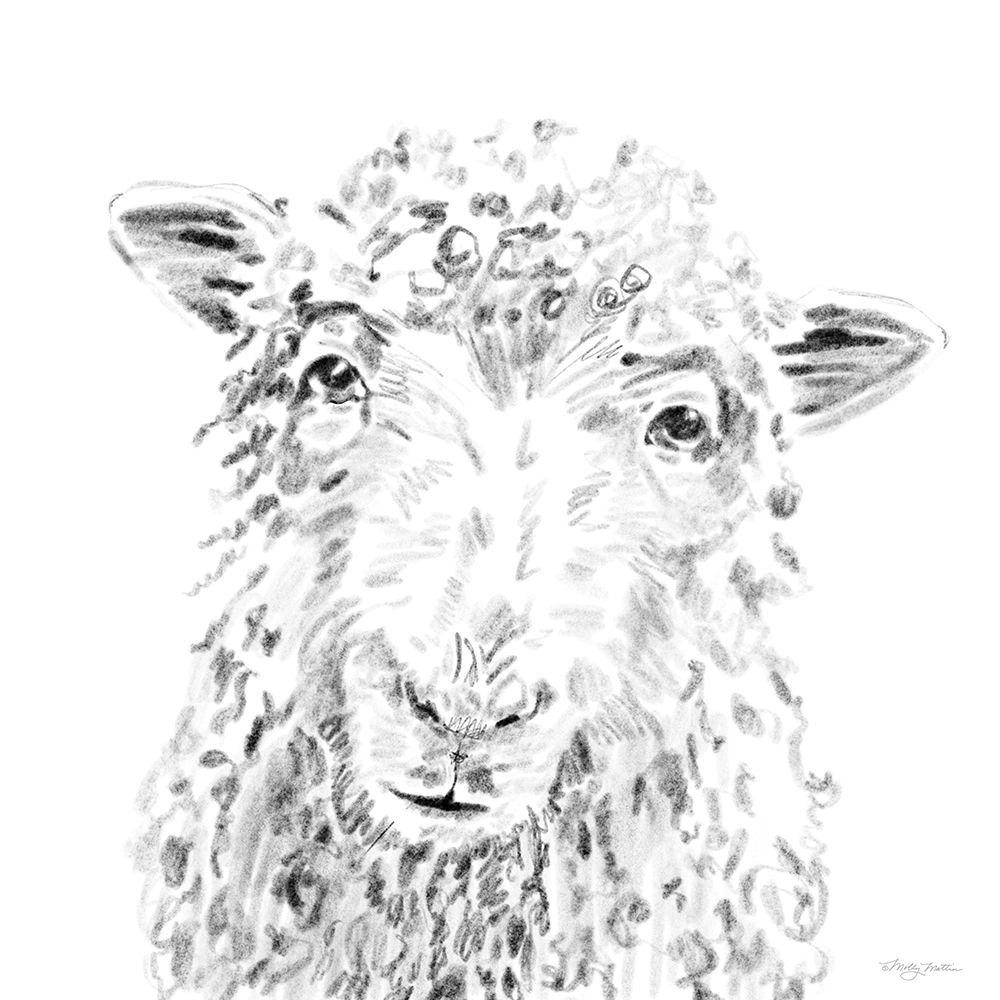 Sheepish art print by Molly Mattin for $57.95 CAD