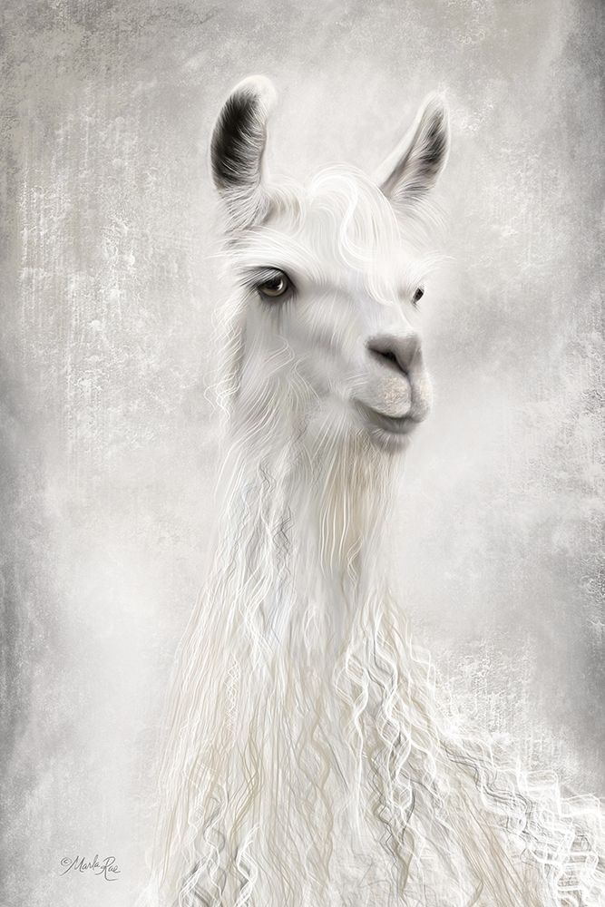 Lulu the Llama Up Close art print by Marla Rae for $57.95 CAD