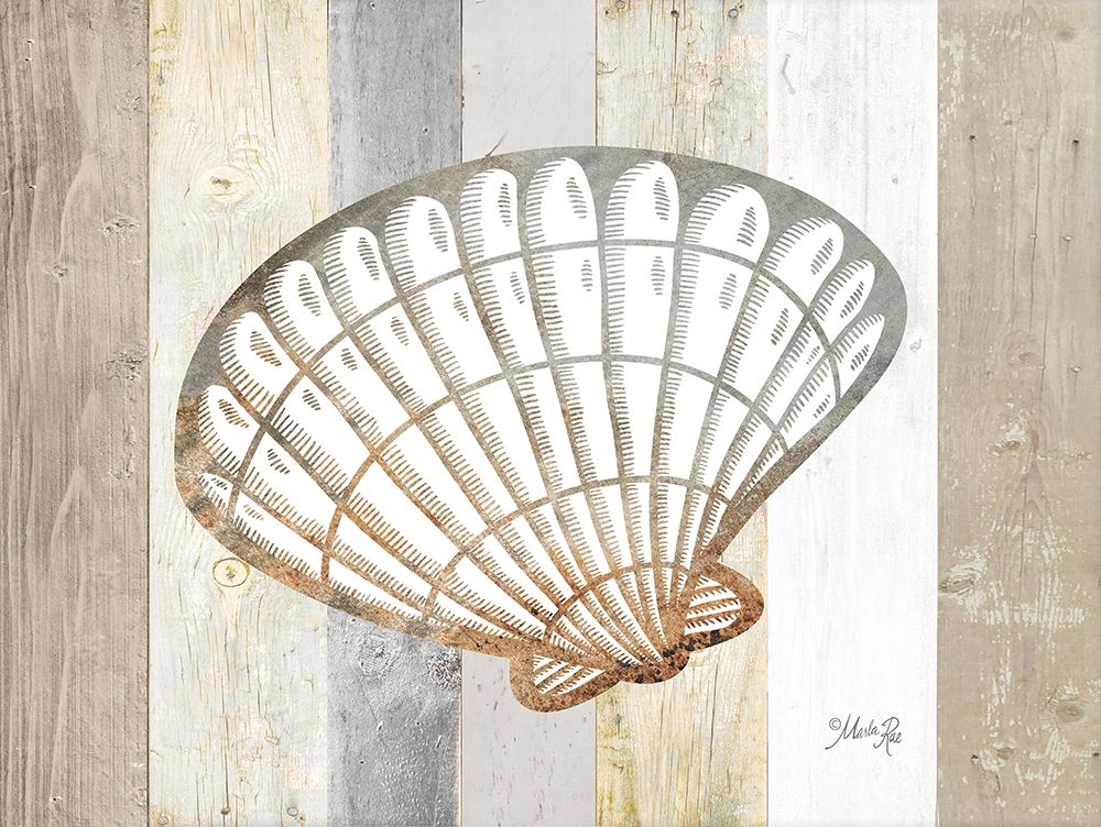 Coastal Shell II art print by Marla Rae for $57.95 CAD