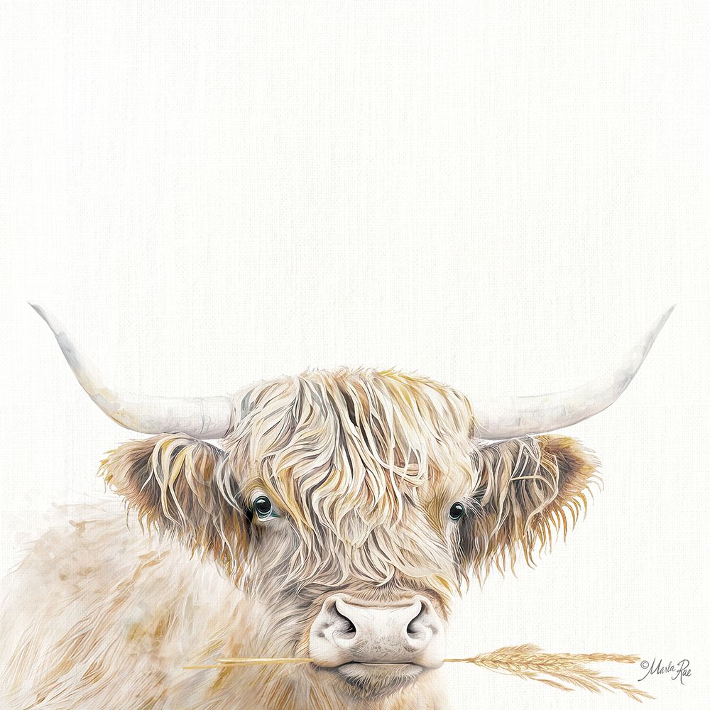 Wheat Sprig Highland art print by Marla Rae for $57.95 CAD