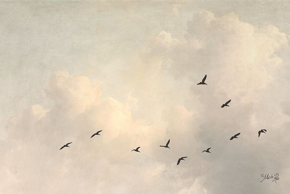 In Flight art print by Marla Rae for $57.95 CAD