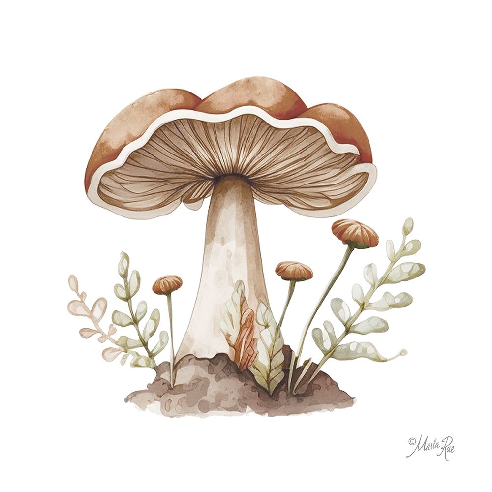 Mellow Mushroom art print by Marla Rae for $57.95 CAD