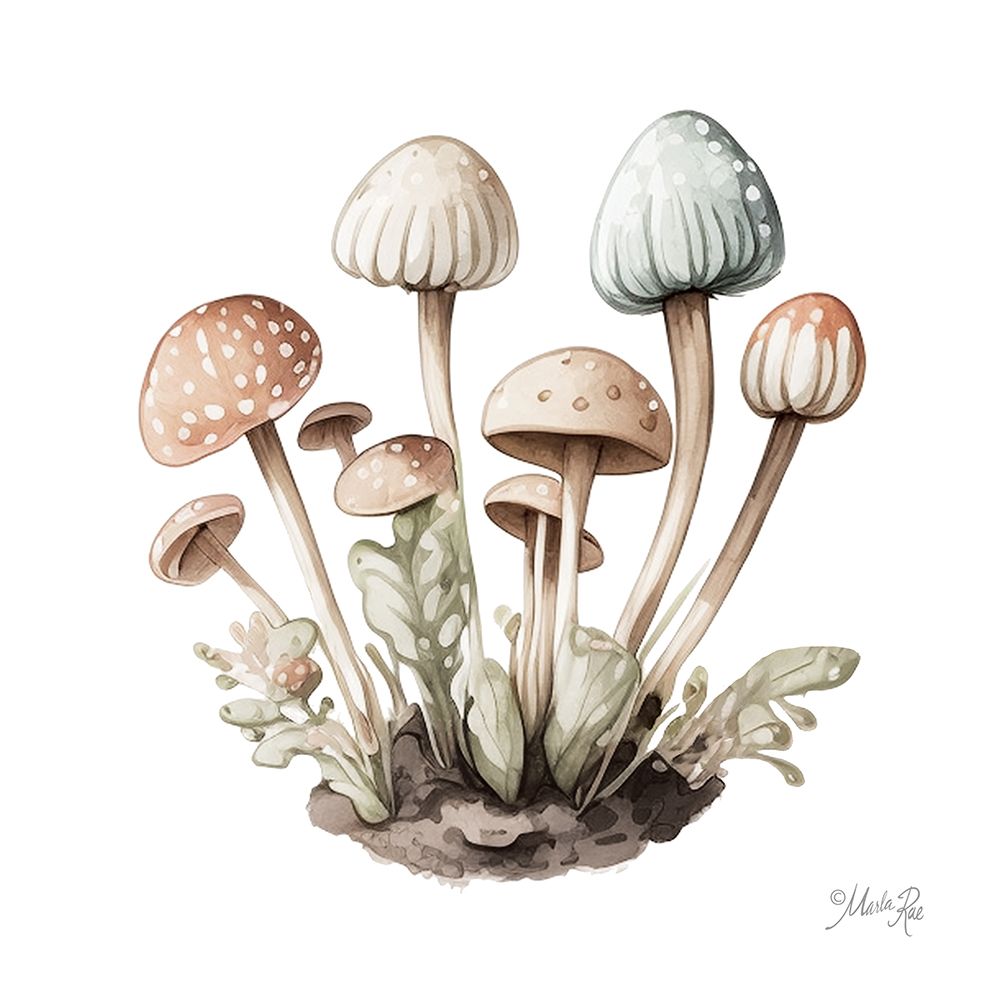 Mellow Mushrooms art print by Marla Rae for $57.95 CAD