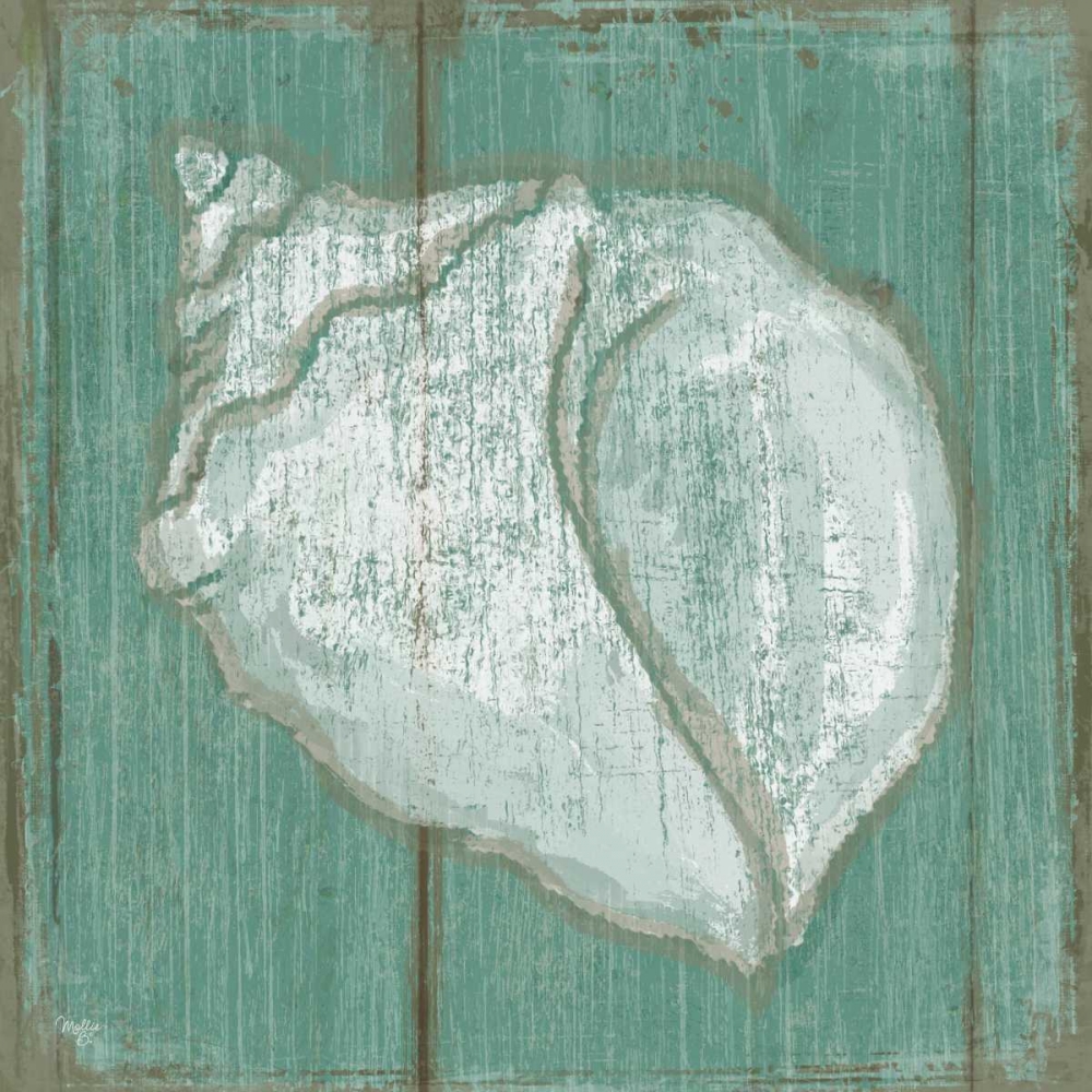 Seashell art print by Mollie B. for $57.95 CAD