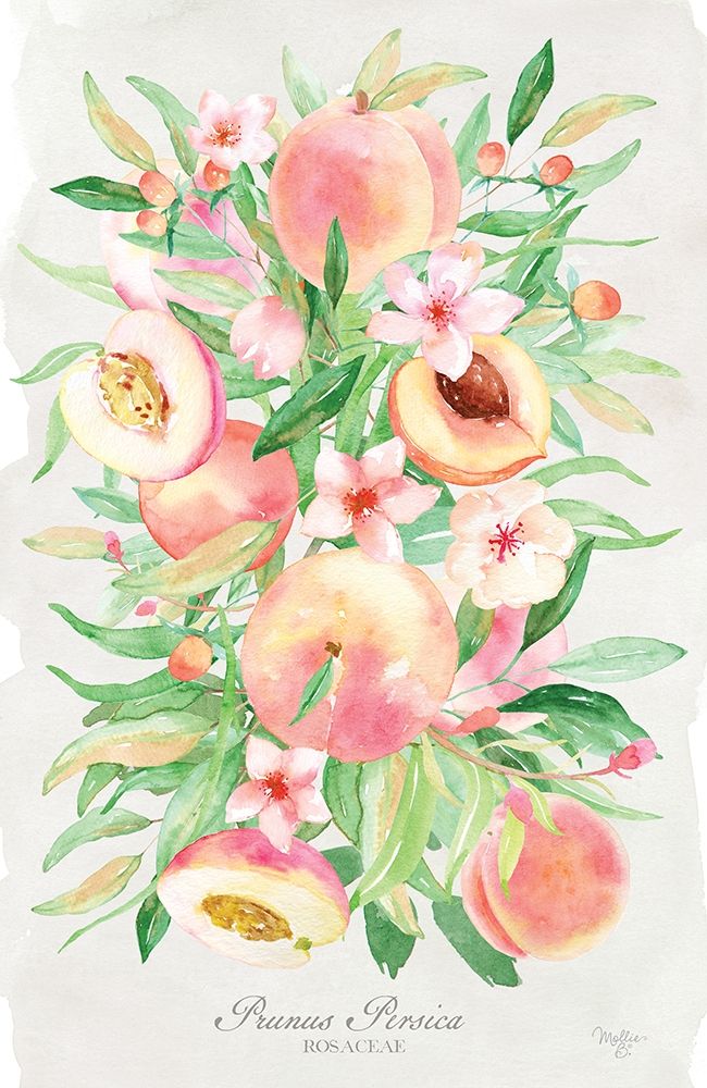 Peach Bouquet art print by Mollie B. for $57.95 CAD
