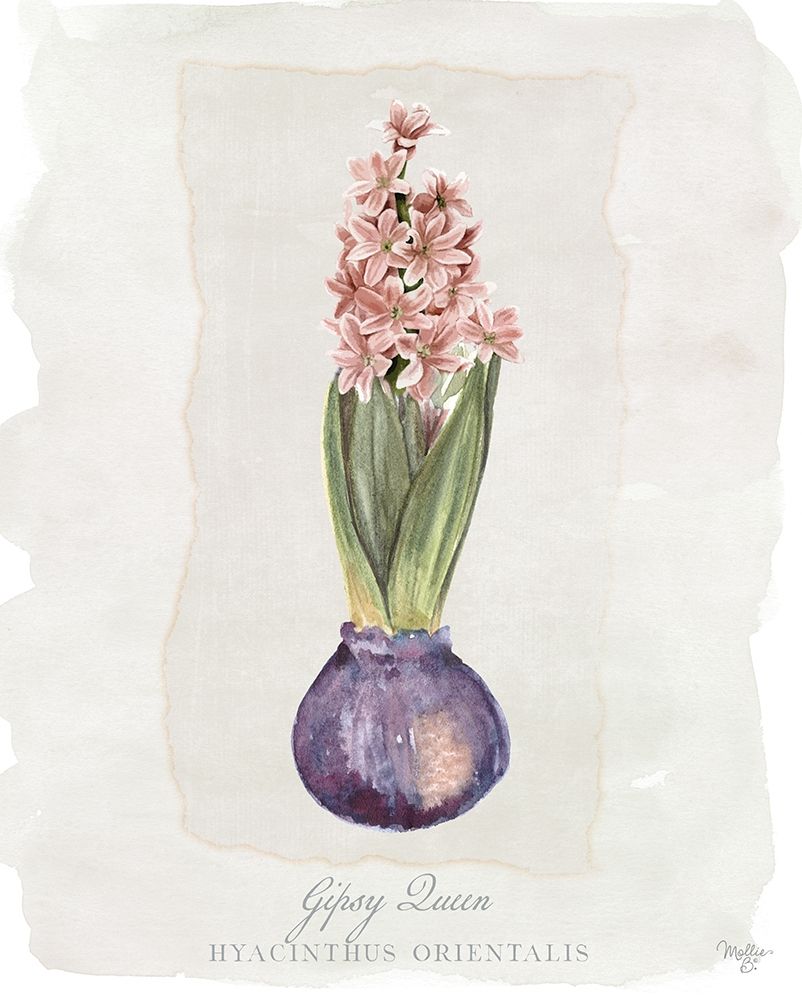 Hyacinthus Orientalis II art print by Mollie B. for $57.95 CAD