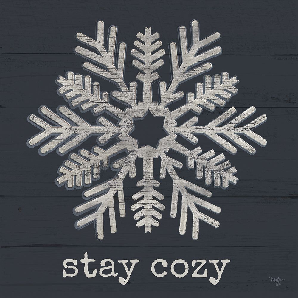 Stay Cozy Snowflake art print by Mollie B. for $57.95 CAD