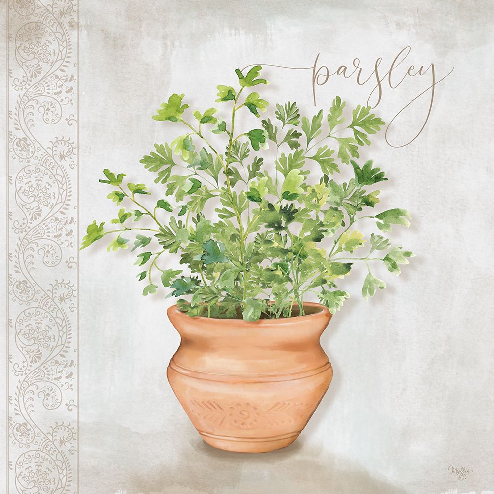 Parsley art print by Mollie B. for $57.95 CAD