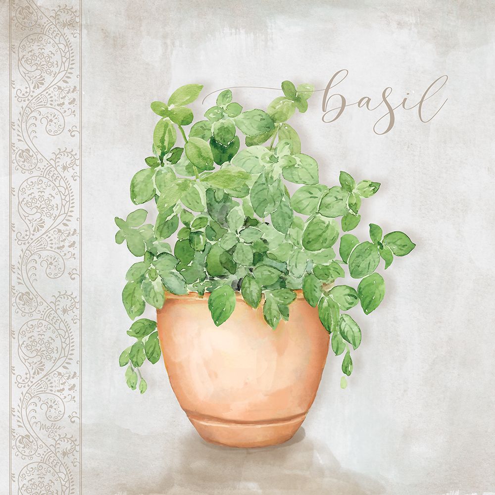 Basil art print by Mollie B. for $57.95 CAD