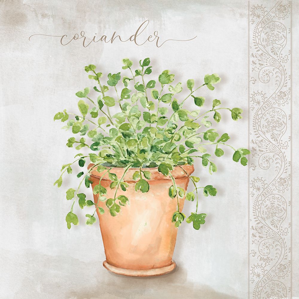Coriander art print by Mollie B. for $57.95 CAD