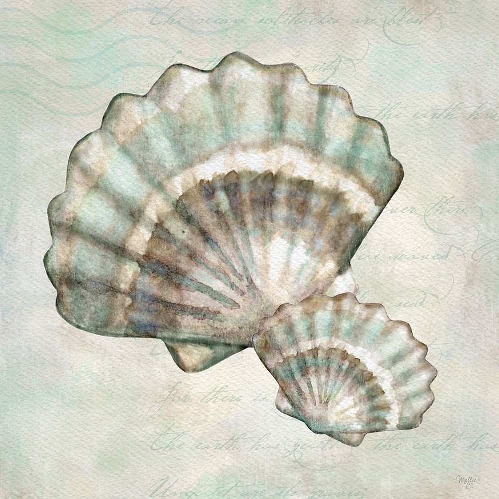 Seashells I art print by Mollie B. for $57.95 CAD