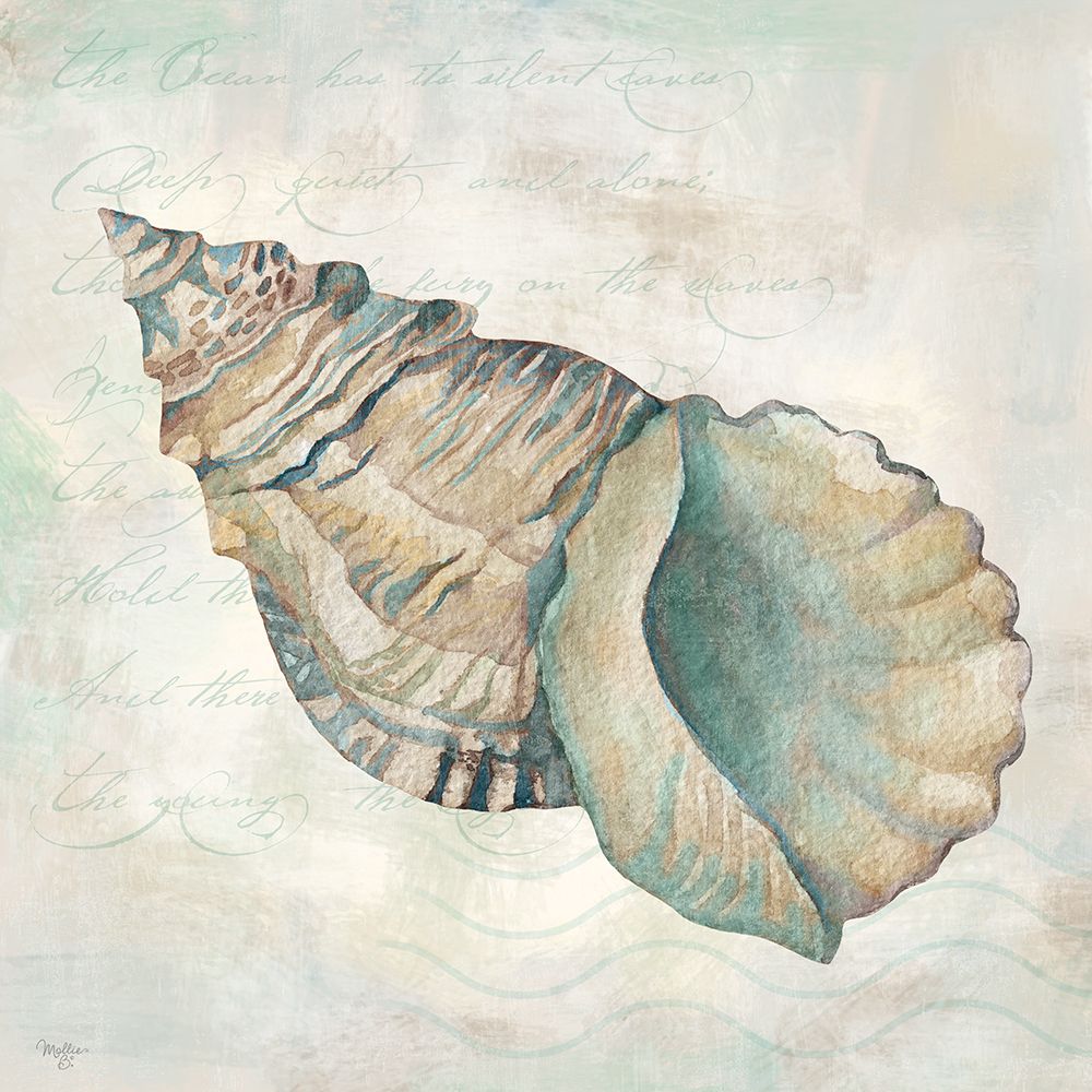 Seashells II art print by Mollie B. for $57.95 CAD