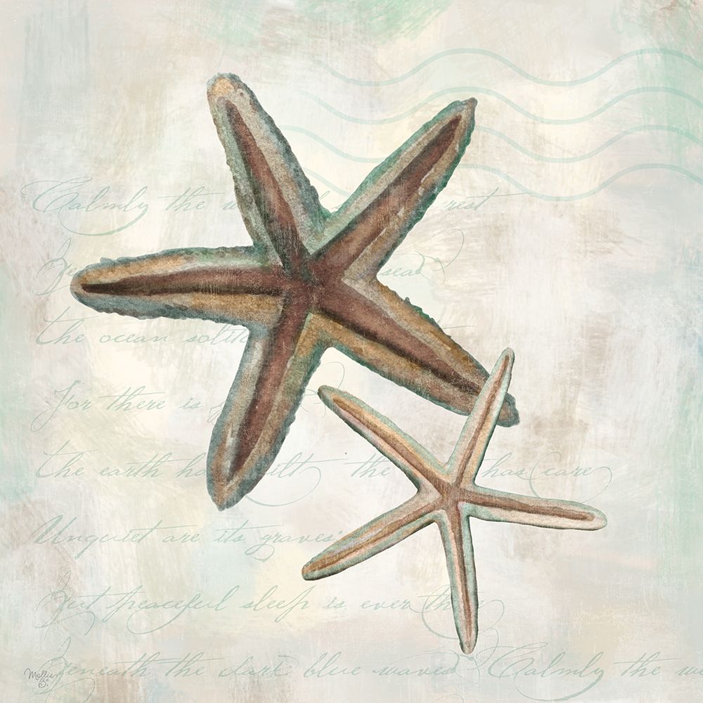 Seashells II art print by Mollie B. for $57.95 CAD