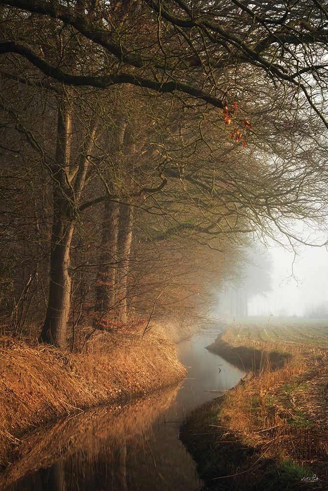 Bend in the Stream art print by Martin Podt for $57.95 CAD
