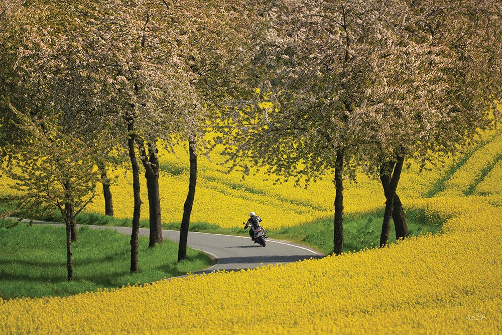 Freedom art print by Martin Podt for $57.95 CAD