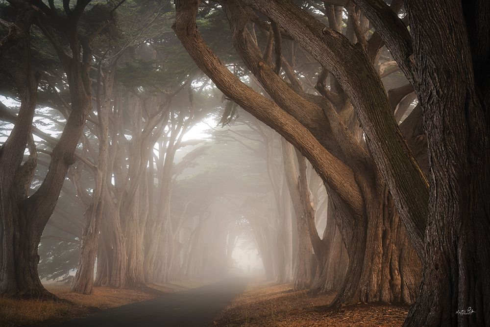 The Rugged Ones art print by Martin Podt for $57.95 CAD
