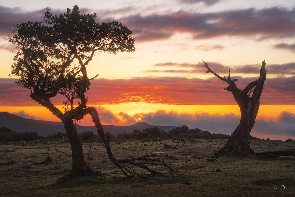 Fanal on Fire (Portugal) art print by Martin Podt for $57.95 CAD