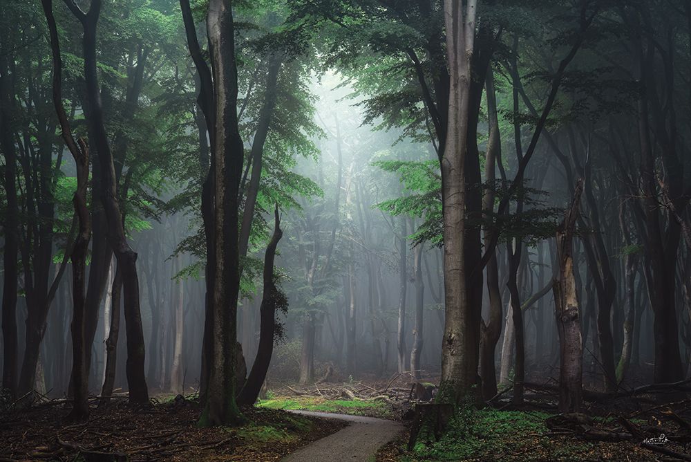 The Path to Somewhere art print by Martin Podt for $57.95 CAD