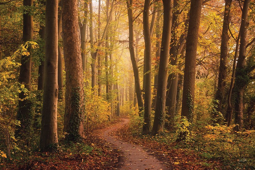 The World is Yellow art print by Martin Podt for $57.95 CAD