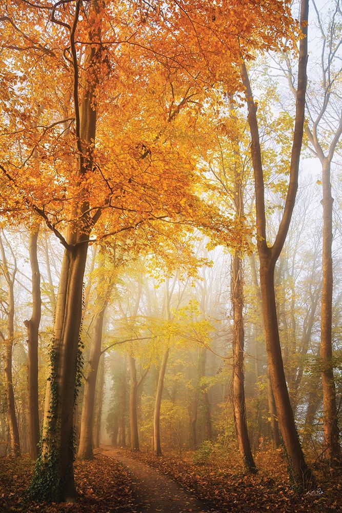 Autumn in Full Swing art print by Martin Podt for $57.95 CAD