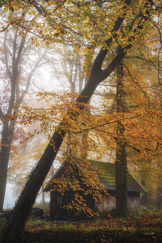 The Little Barn art print by Martin Podt for $57.95 CAD