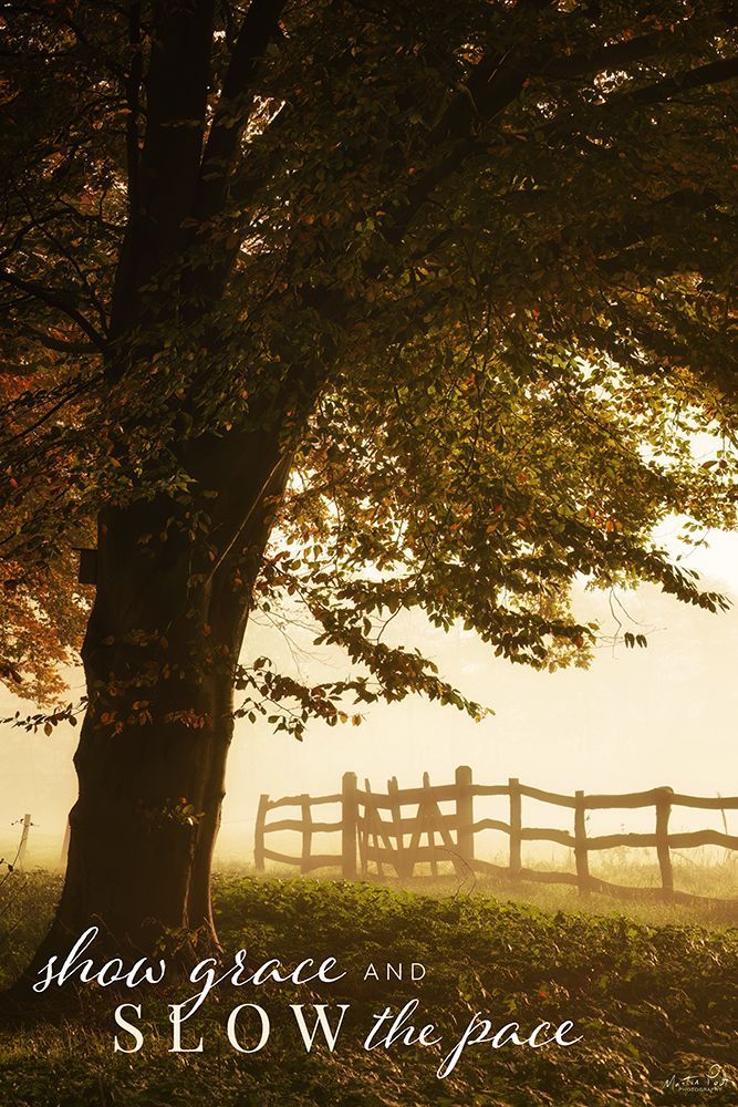 Show Grace and Slow the Pace art print by Martin Podt for $57.95 CAD