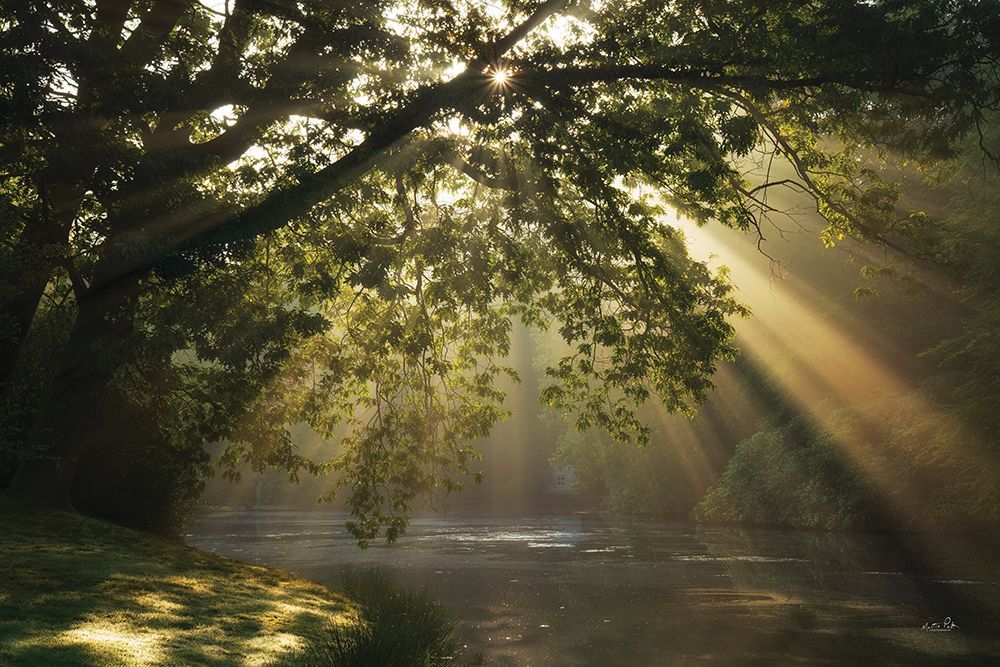 Let Your Light Shine art print by Martin Podt for $57.95 CAD