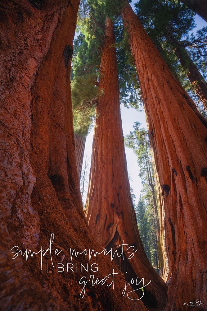 Simple Moments Bring Great Joy art print by Martin Podt for $57.95 CAD