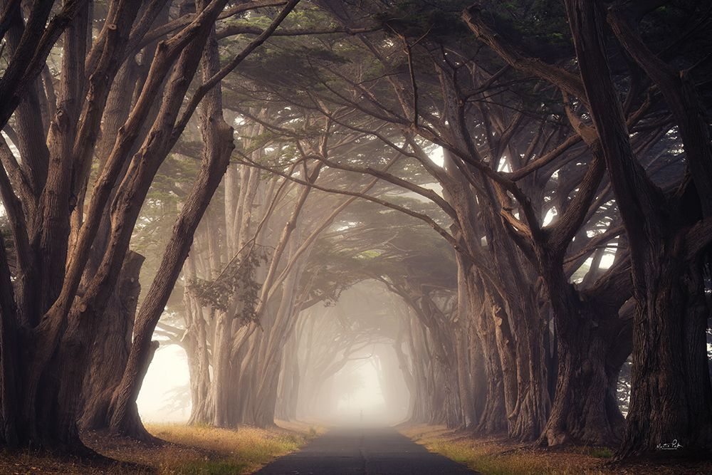 Alley of Dreams art print by Martin Podt for $57.95 CAD