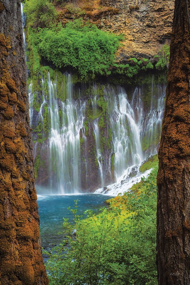 Burney Falls art print by Martin Podt for $57.95 CAD