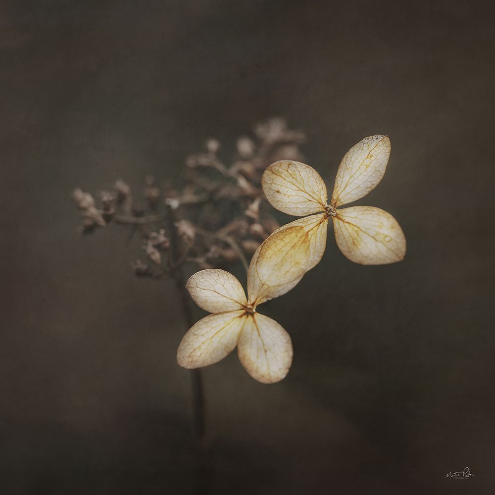 Side by Side art print by Martin Podt for $57.95 CAD