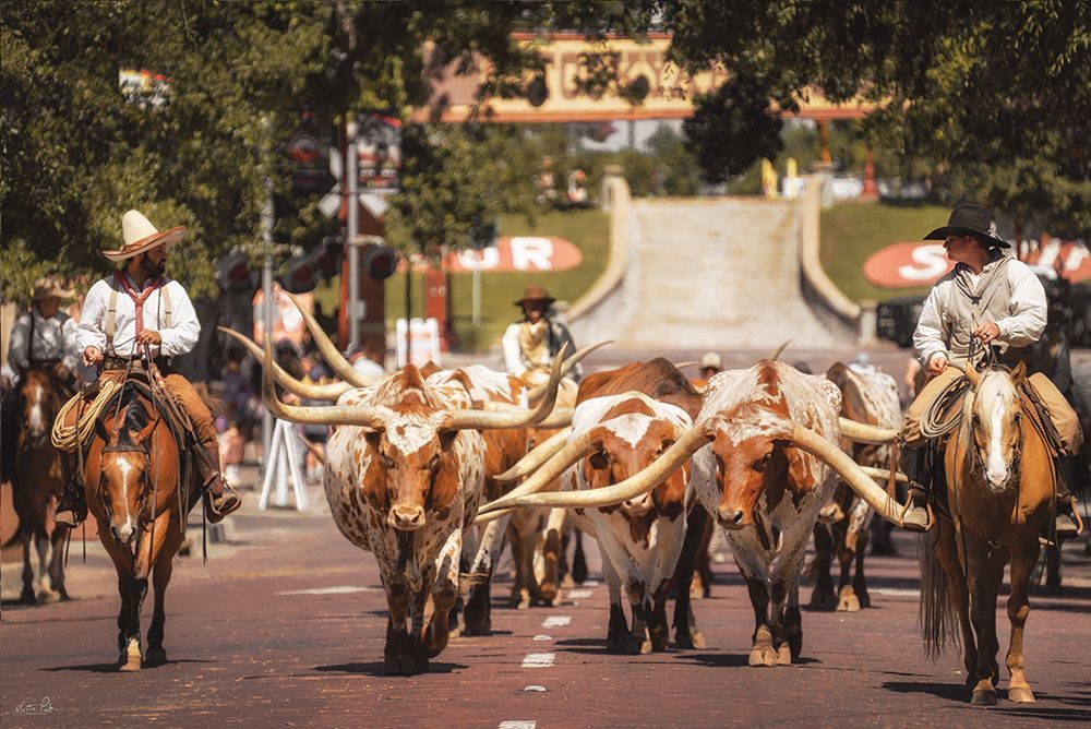 Longhorn Cattle March art print by Martin Podt for $57.95 CAD