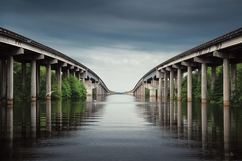 Steel Serpent art print by Martin Podt for $57.95 CAD