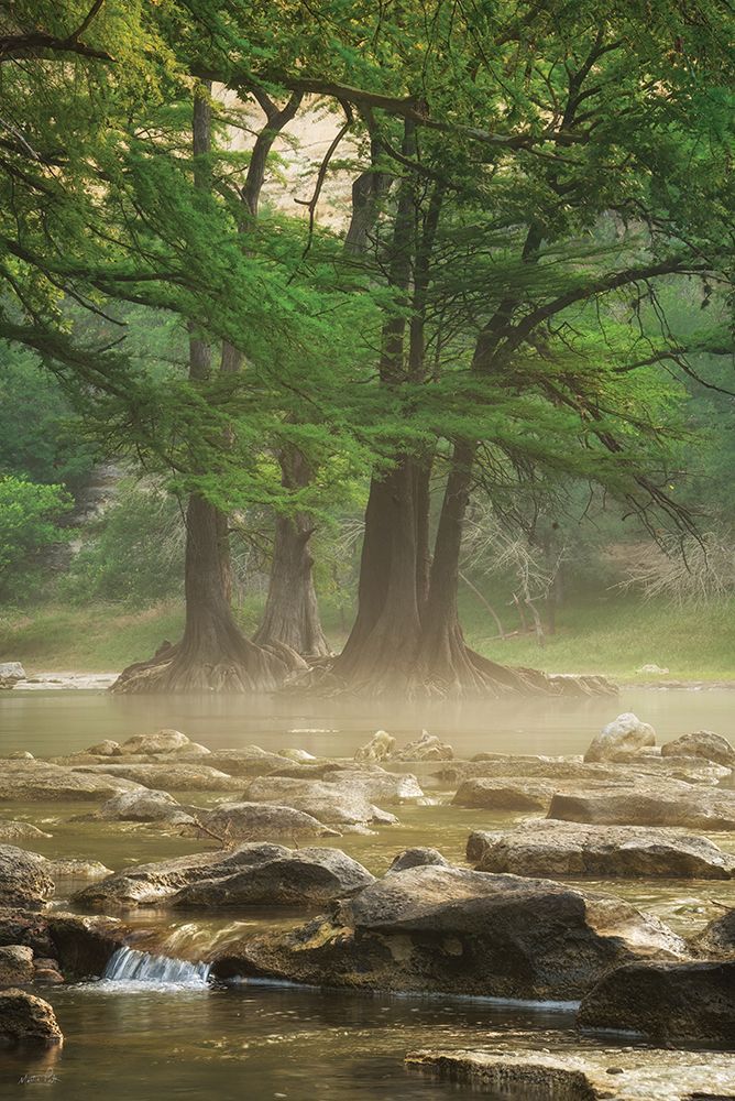 Standing Strong art print by Martin Podt for $57.95 CAD