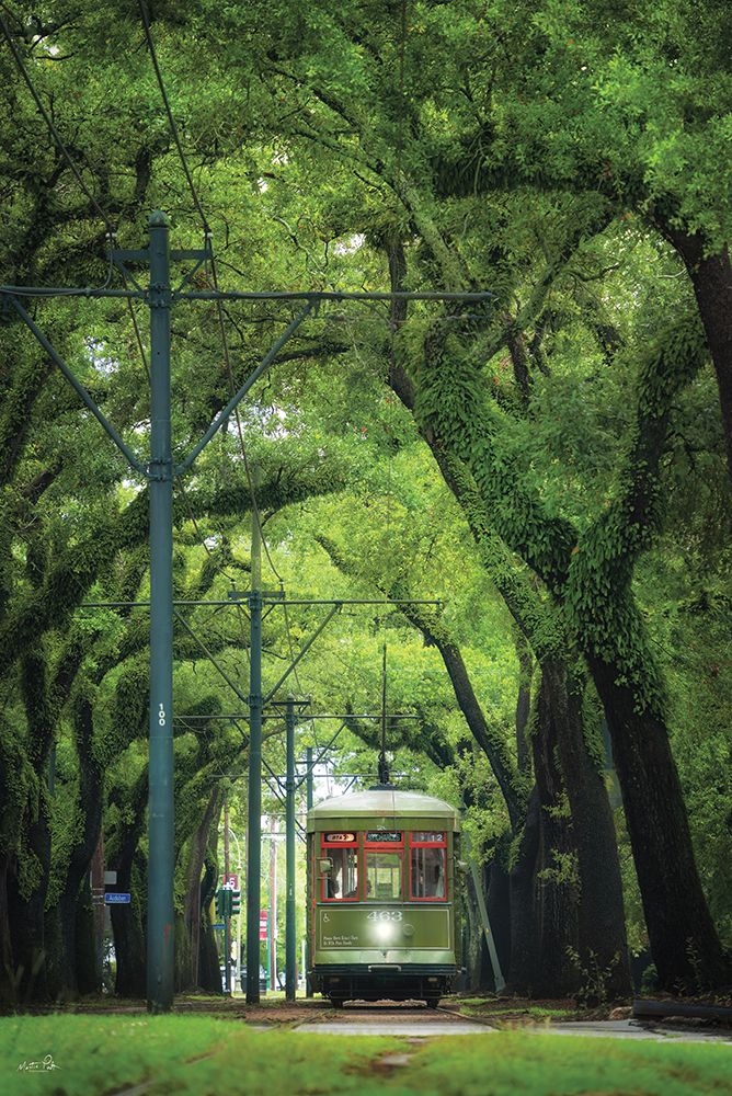 St. Charles Streetcar art print by Martin Podt for $57.95 CAD