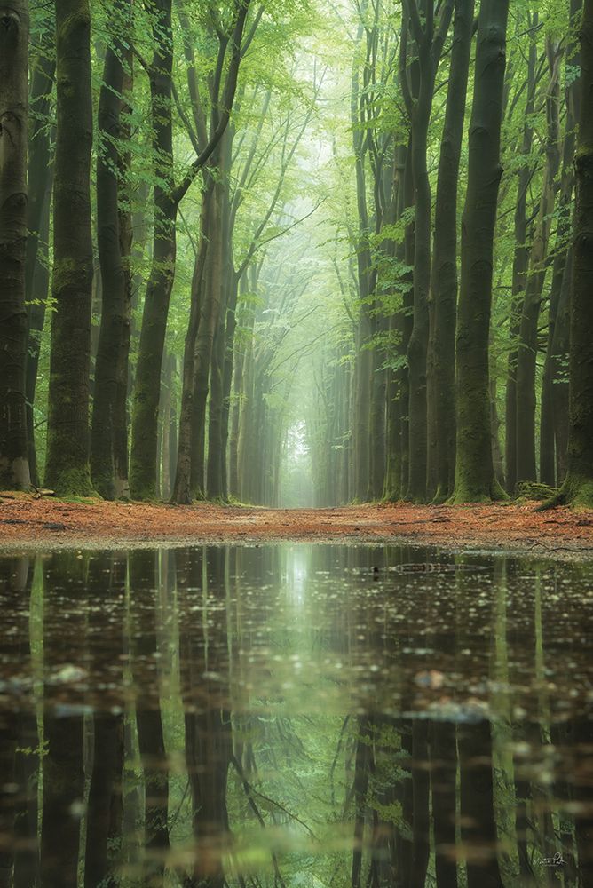 Reflecting Heights art print by Martin Podt for $57.95 CAD