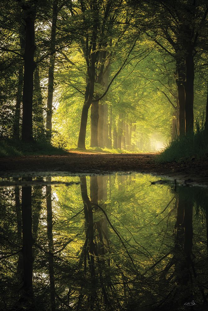 Clear Reflections art print by Martin Podt for $57.95 CAD