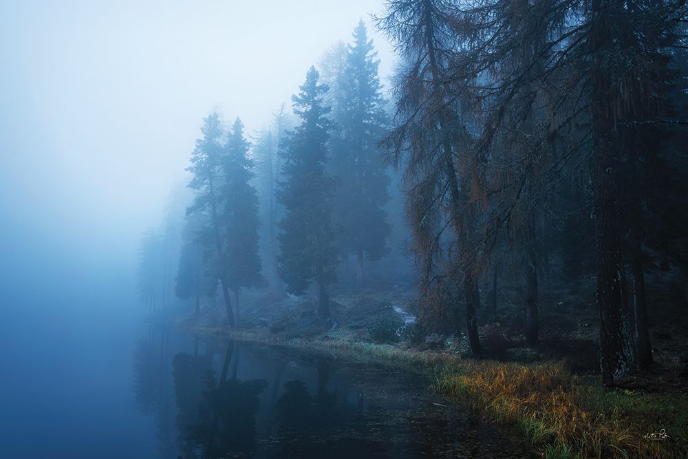 What the Fog art print by Martin Podt for $57.95 CAD