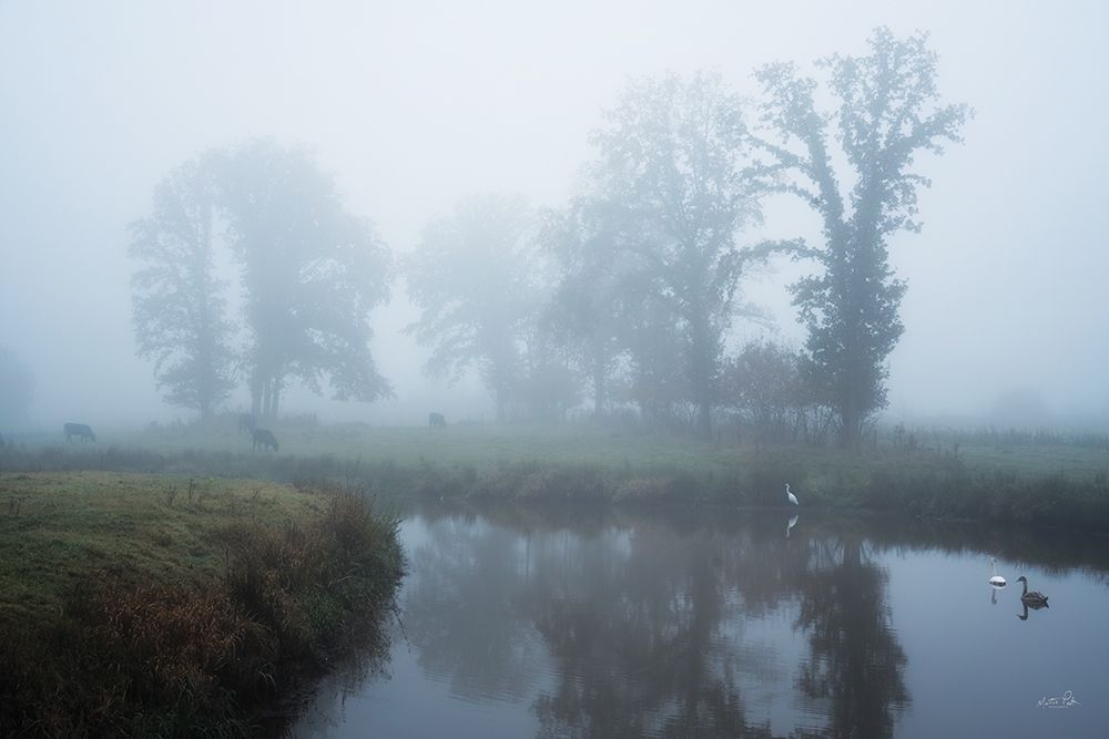 Foggy Grazing Grounds art print by Martin Podt for $57.95 CAD