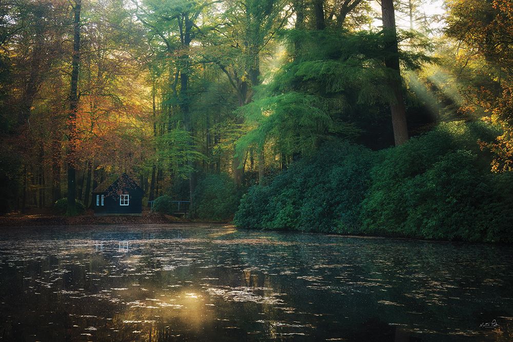 Cozy Lake Cottage art print by Martin Podt for $57.95 CAD