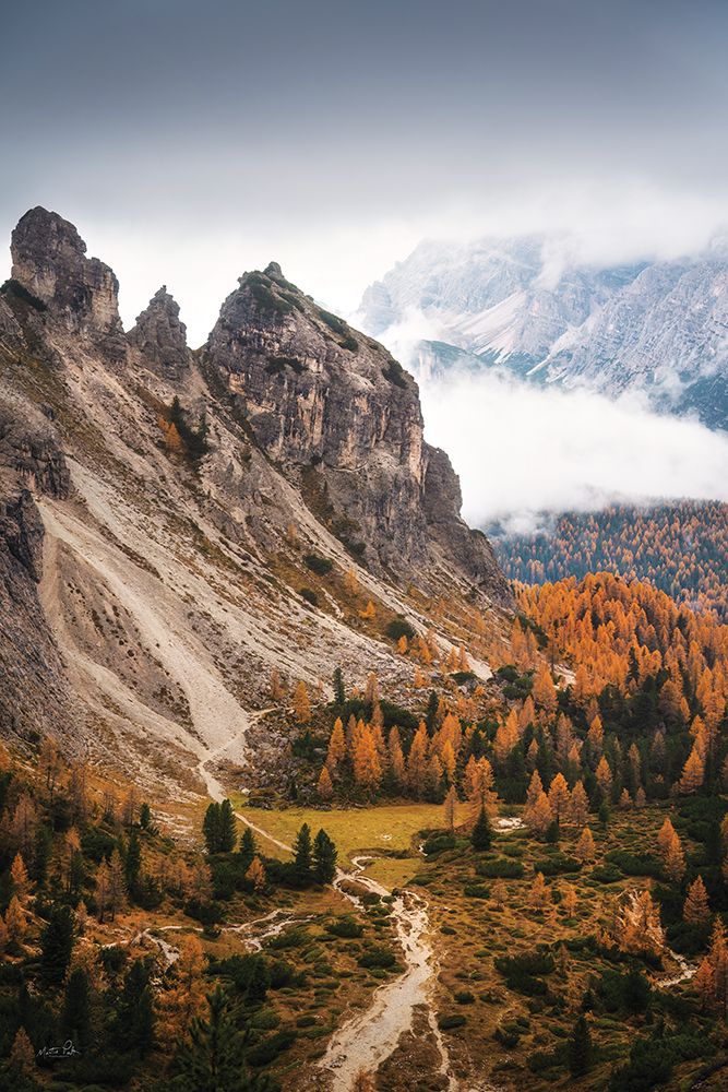 Above the Pines art print by Martin Podt for $57.95 CAD
