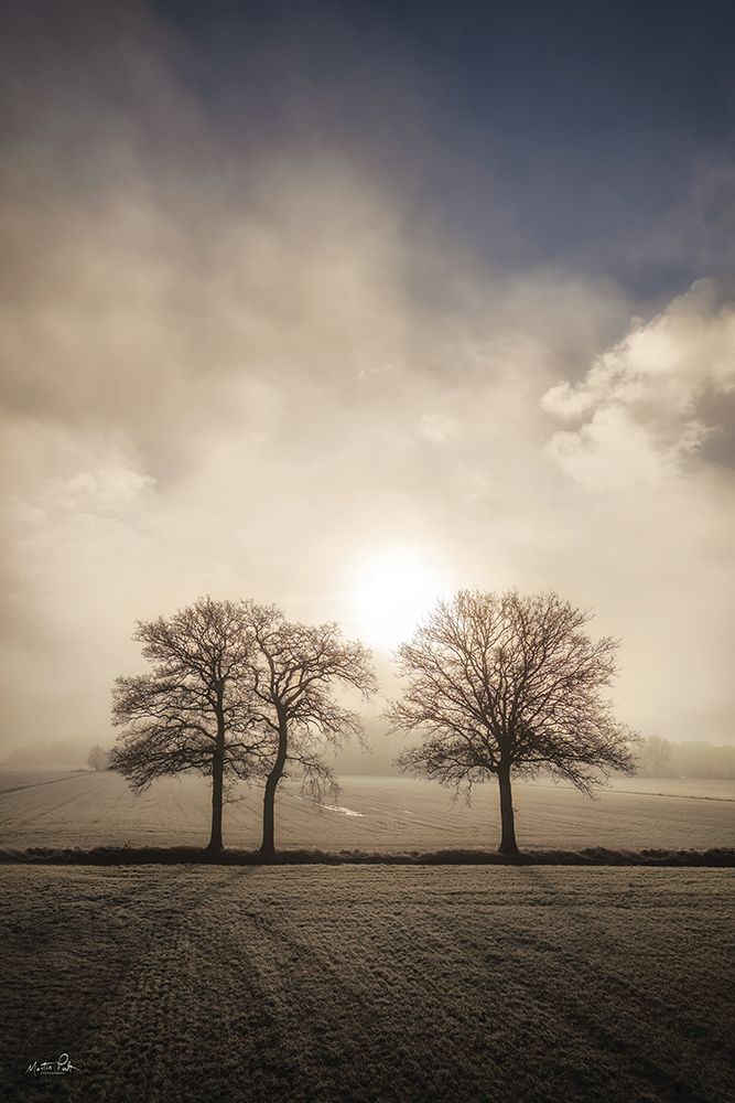 On a Winters Day art print by Martin Podt for $57.95 CAD
