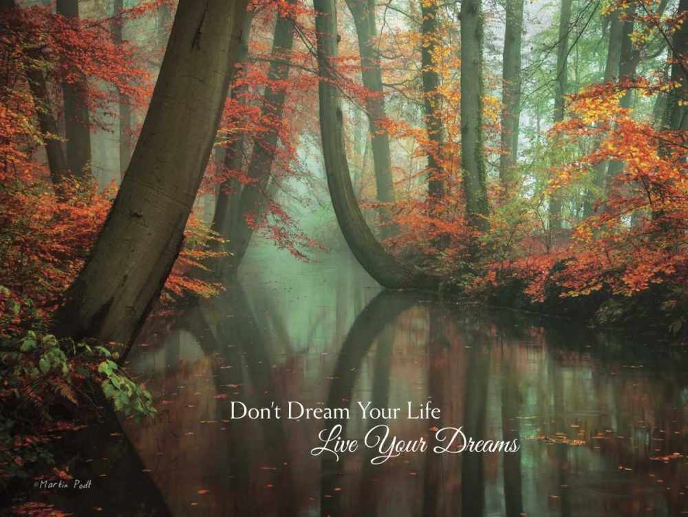 Live Your Dream art print by Martin Podt for $57.95 CAD