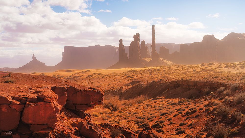 Totem Pole art print by Martin Podt for $57.95 CAD