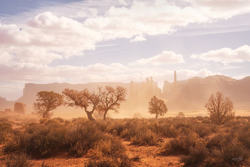 Sandstorm in Monument Valley art print by Martin Podt for $57.95 CAD