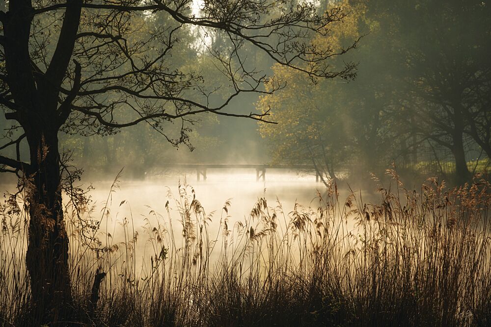 The Hidden Bridge art print by Martin Podt for $57.95 CAD