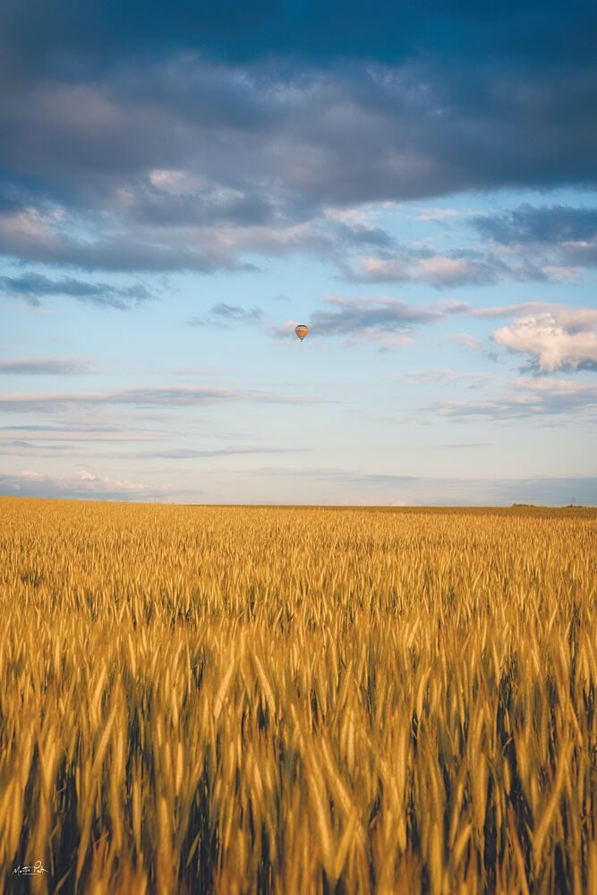 Above the Amber Waves art print by Martin Podt for $57.95 CAD