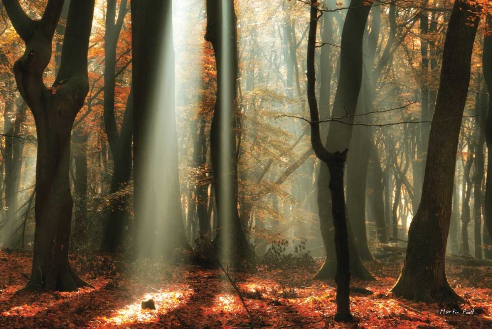Beam Me Up art print by Martin Podt for $57.95 CAD